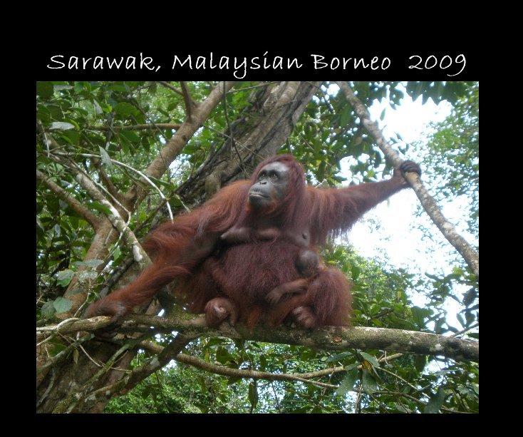 View Sarawak, Malaysian Borneo 2009 by judysabnani