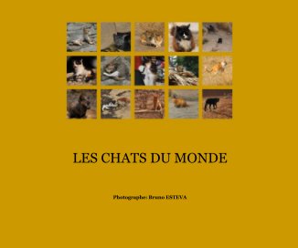 LES CHATS DU MONDE book cover