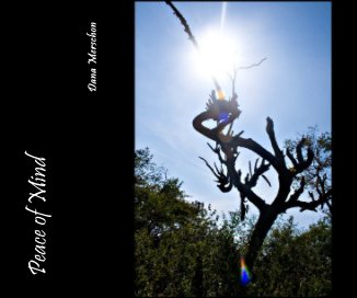 Peace of Mind book cover