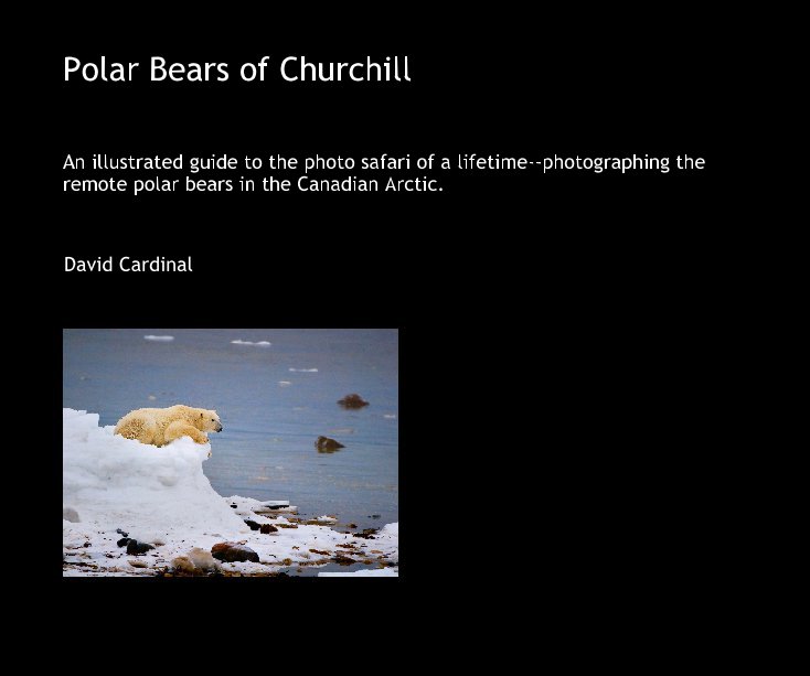 View Polar Bears of Churchill by David Cardinal