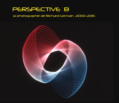 Perspective  B book cover