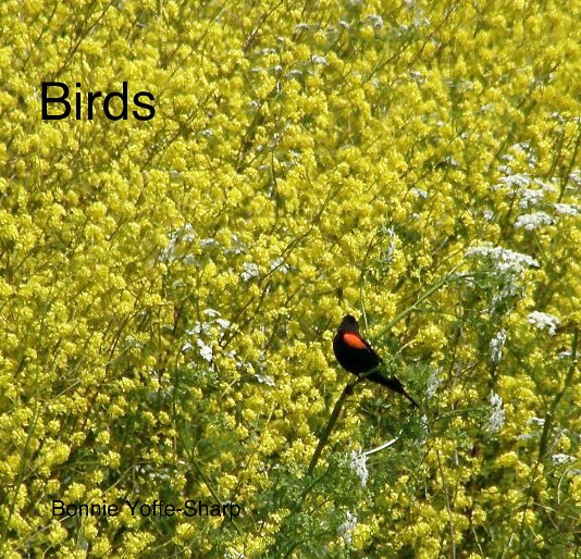 Ver Birds por Bonnie Yoffe-Sharp