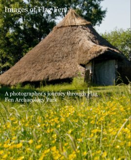 Images of Flag Fen book cover