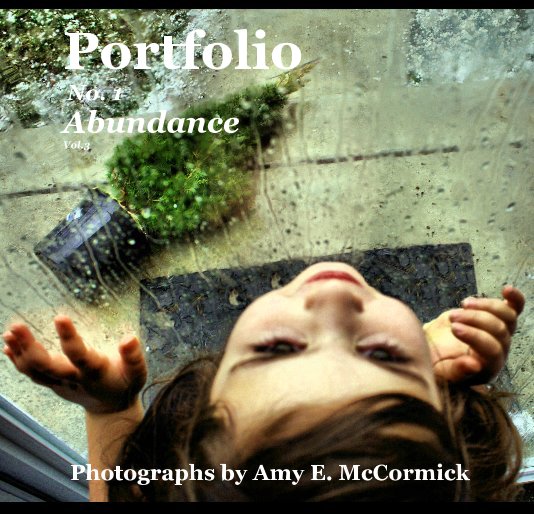 View Portfolio No. 1 Abundance Vol.3 by Amy E. McCormick