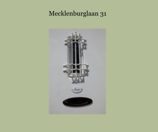 Mecklenburglaan 31 book cover