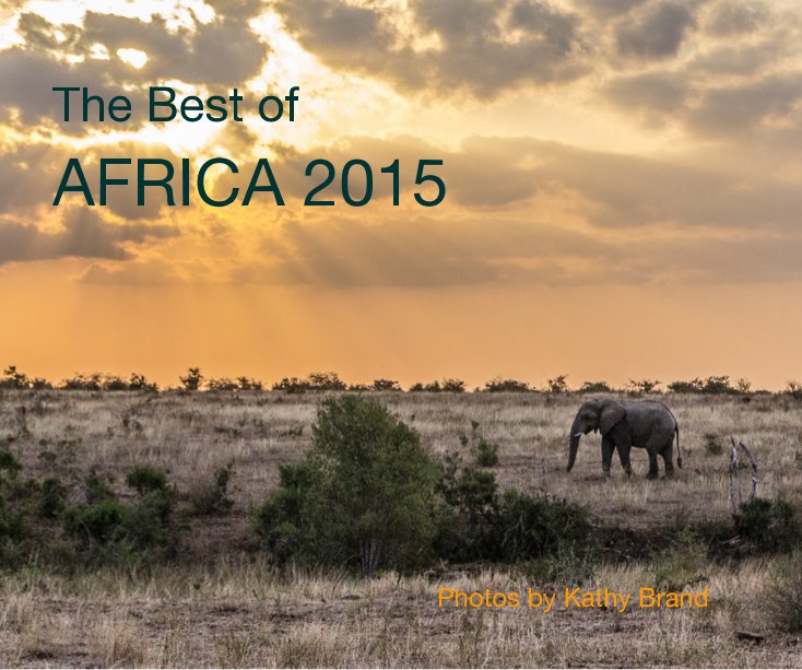 Ver The Best of AFRICA 2015 por Photos by Kathy Brand