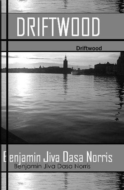 Visualizza Driftwood - a novel di Benjamin Norris