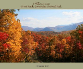 Smoky Mountains Vacation 2013 book cover