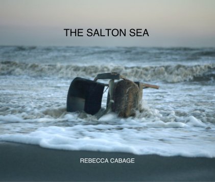 THE SALTON SEA book cover