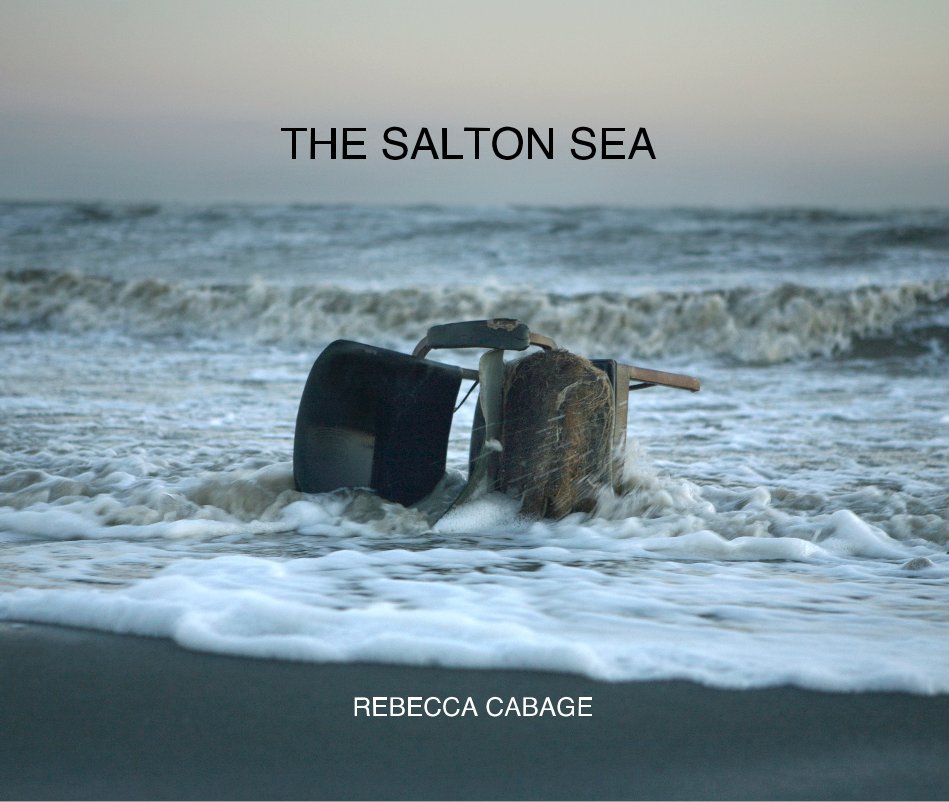 View THE SALTON SEA by REBECCA CABAGE