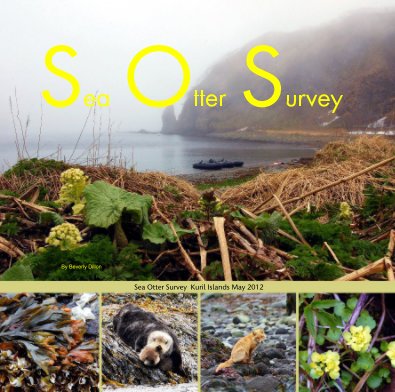 Sea Otter Survey book cover