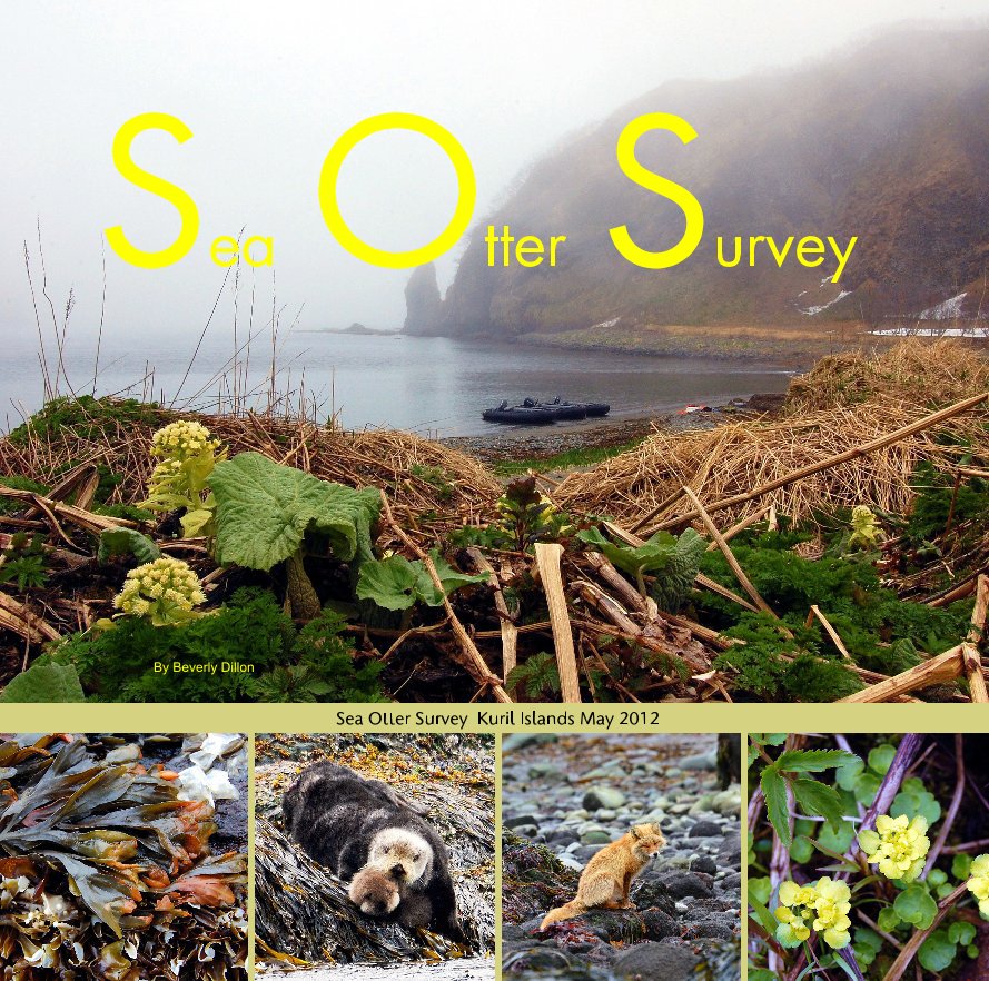 View Sea Otter Survey by Beverly Dillon