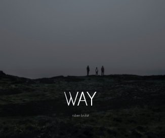 WAY book cover
