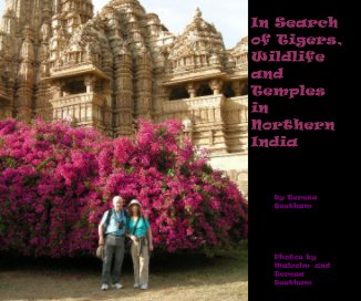 In Search of Tigers, Wildlife and Temples in Northern India book cover