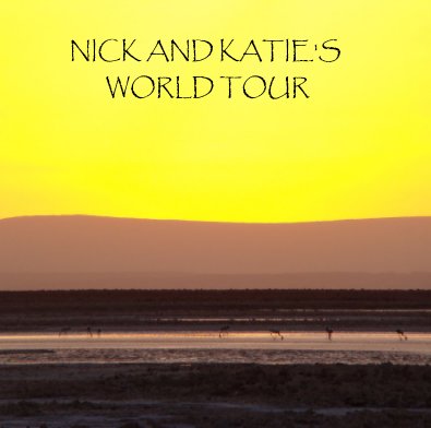 NICK AND KATIE'S WORLD TOUR book cover
