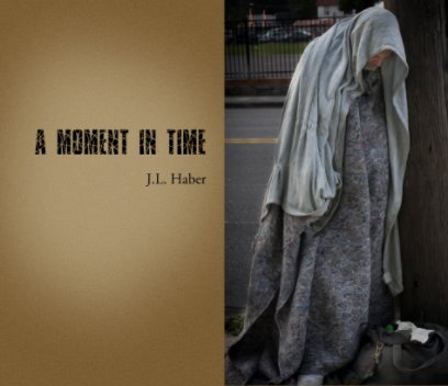 A Moment In Time book cover