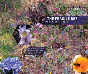 The Fragile Bee: Nancy Macko at MOAH book cover