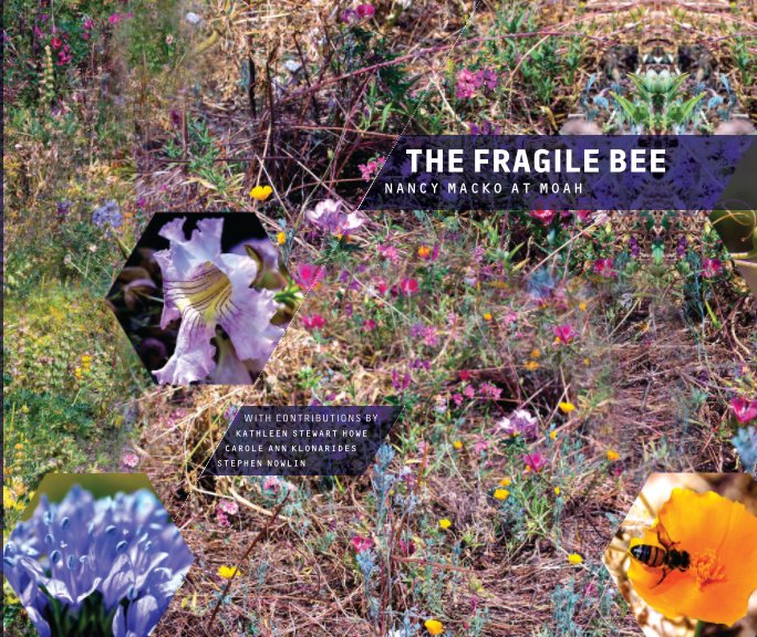 View The Fragile Bee: Nancy Macko at MOAH by Howe, Klonarides, Nowlin