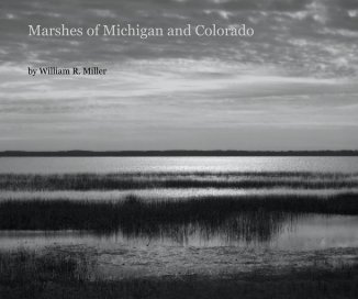 Marshes of Michigan and Colorado book cover