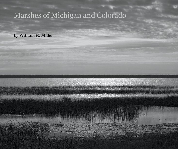 View Marshes of Michigan and Colorado by William R. Miller