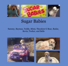 Sugar Babies book cover