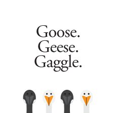 Goose. Geese. Gaggle. book cover