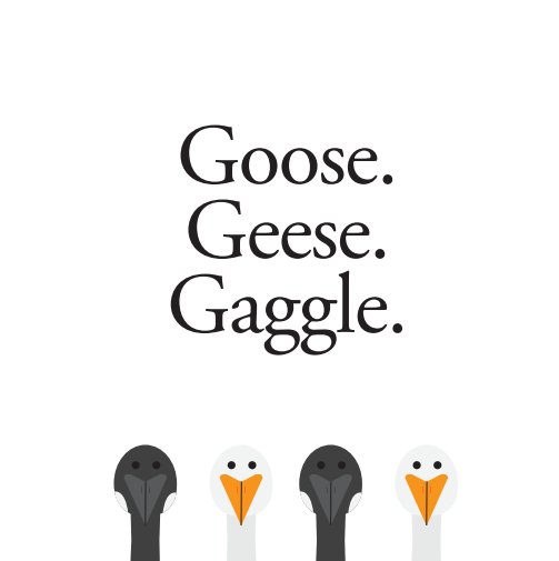 View Goose. Geese. Gaggle. by Anderson