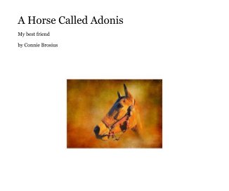 A Horse Called Adonis book cover