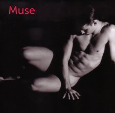Muse book cover