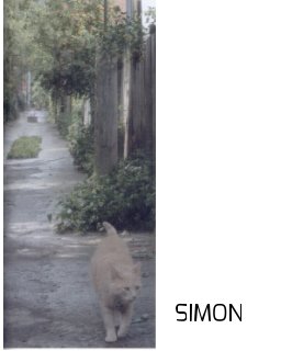 SIMON book cover