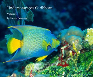 Underseascapes Caribbean book cover