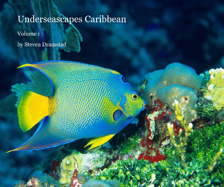 Bekijk Underseascapes Caribbean op Steven Dramstad