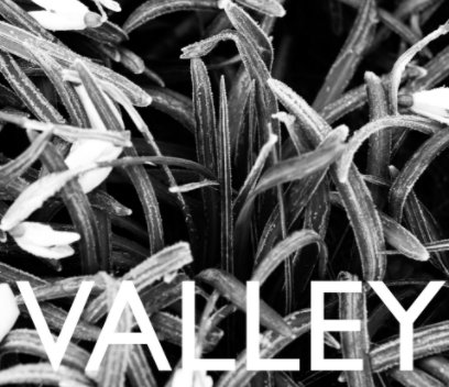 VALLEY book cover