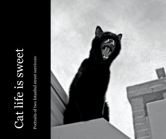 Cat life is sweet book cover
