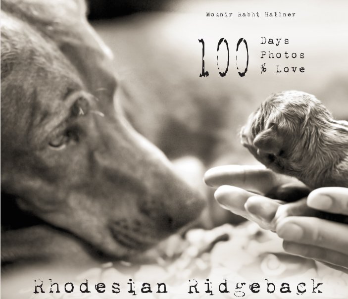 Ver Rhodesian Ridgeback 100 days por Mounir Rabhi Hallner