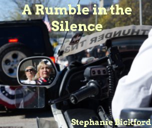 A Rumble in the Silence book cover