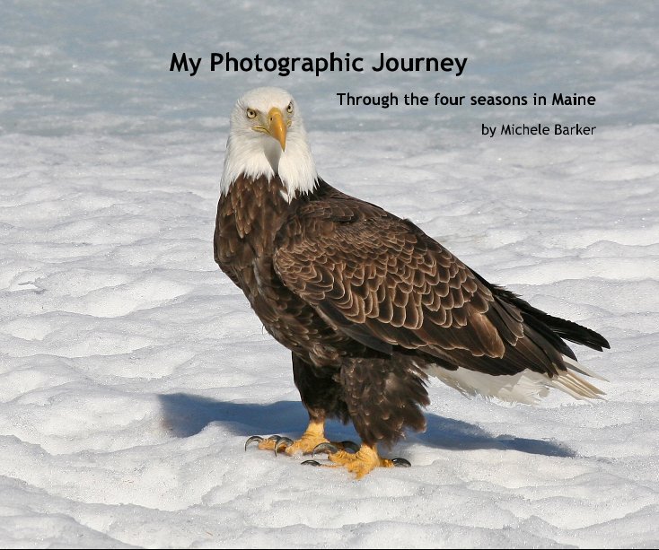Ver My Photographic Journey por Michele Barker