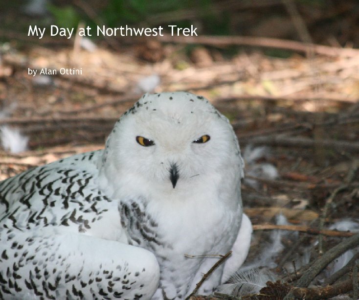 Ver My Day at Northwest Trek por Alan Ottini
