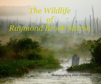 The Wildlife of Raymond Brook Marsh Photography by Peter J Urbanik book cover