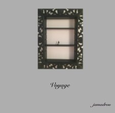 Voyage book cover