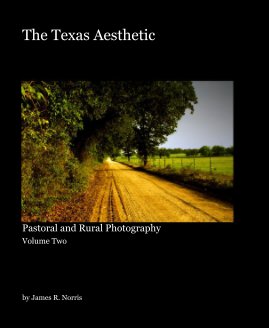 The Texas Aesthetic book cover