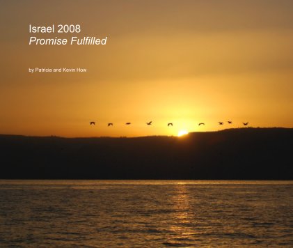 Israel 2008 Promise Fulfilled book cover