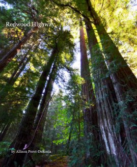Redwood Highway book cover