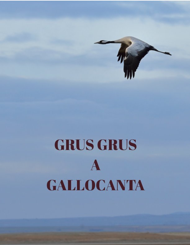View GRUS GRUS A GALLOCANTA by Josep Mª Talavera