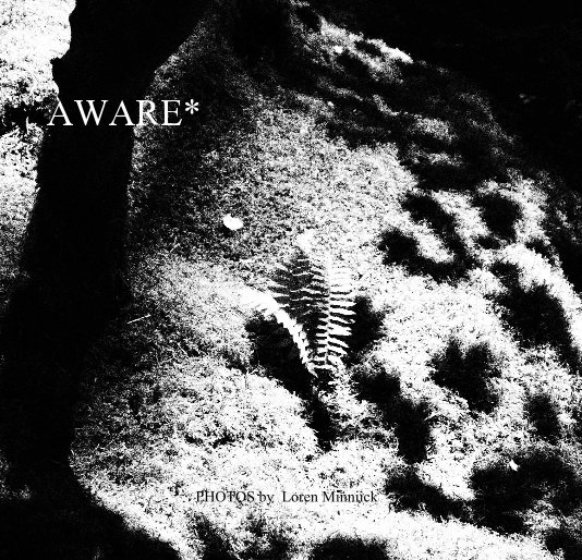 View AWARE* by PHOTOS by Loren Minniick