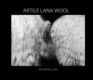 ARTILE LANA WOOL book cover