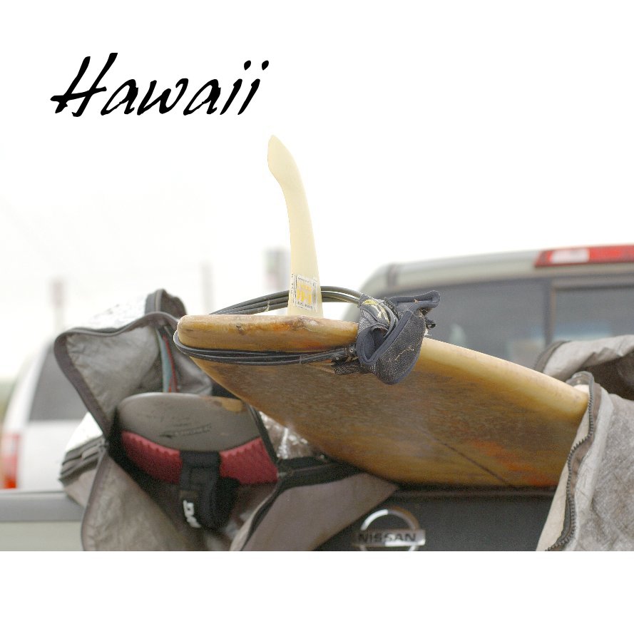 View Hawaii by libbybarkley