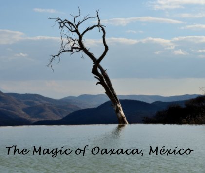 The Magic of Oaxaca, México book cover