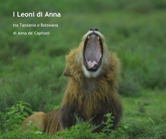I Leoni di Anna book cover