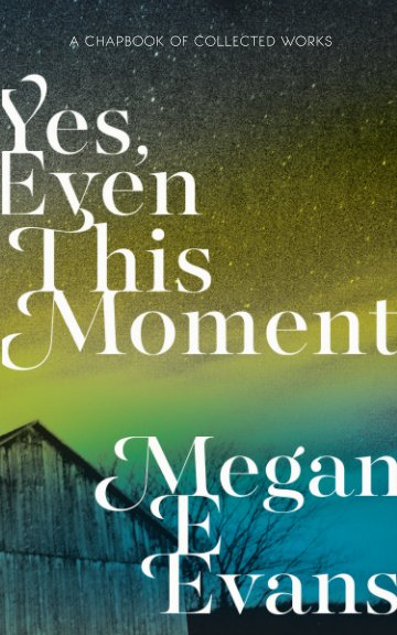 Bekijk Yes, Even This Moment op Megan E. Evans